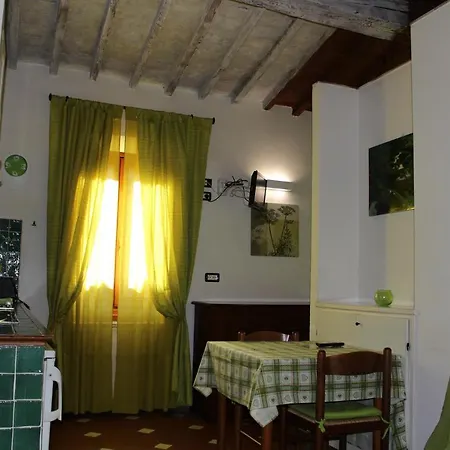 Gmax Guelfa * Florenz