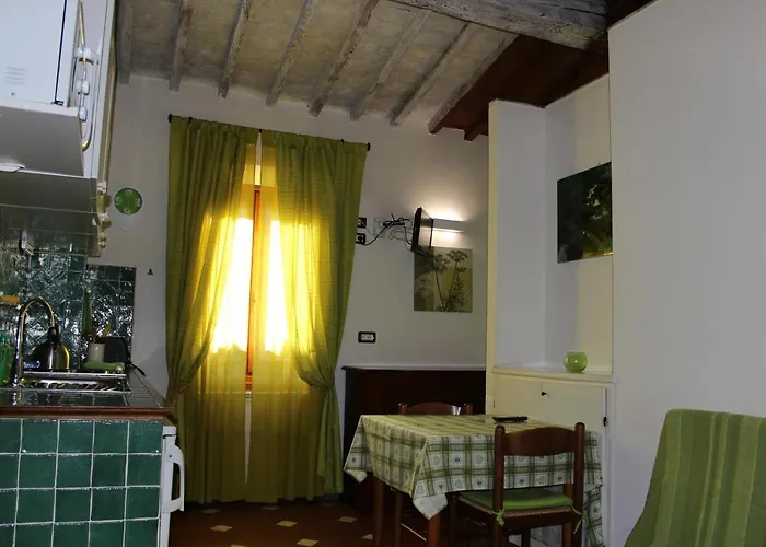 Gmax Guelfa * Firenze